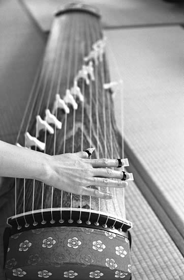 Japanese 'Koto'. September, 2003