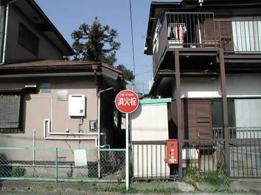 P1010017.jpg