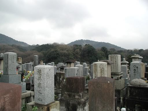 P1010016n.jpg