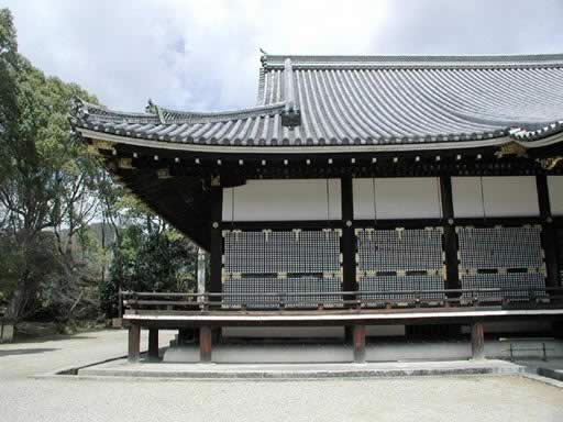 P1010032n.jpg