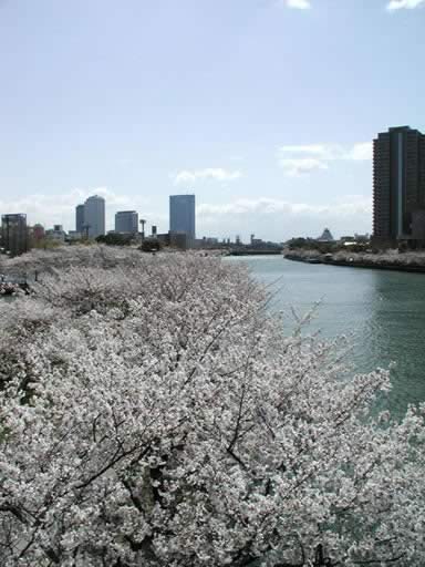 P1010063n.jpg