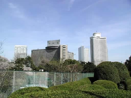 P1010003n.jpg