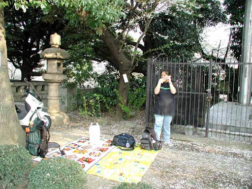P1010009n.jpg