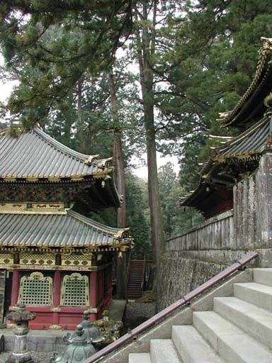 P1010022n.jpg