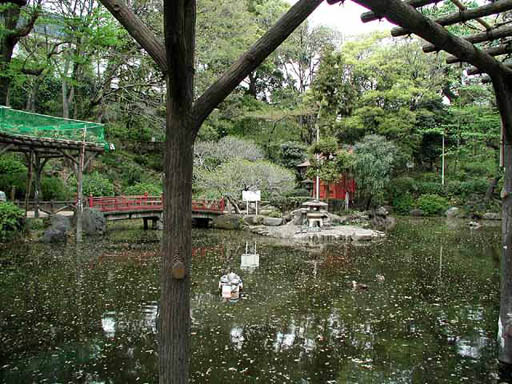 P1010002n.jpg