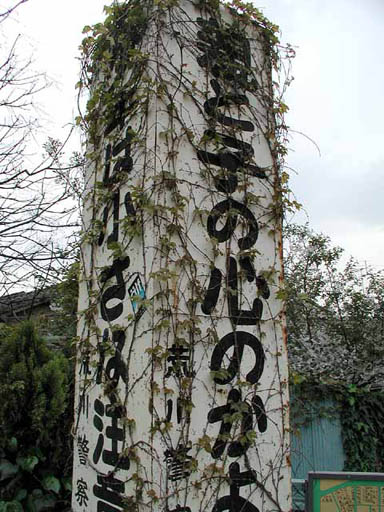P1010008n.jpg