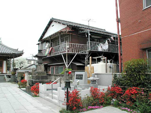 P1010033n.jpg