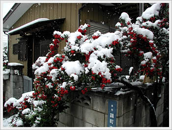 Click for larger image