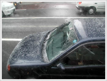 click for larger image (35K)