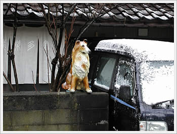 Guarg Dog, Kanazawa, Japan: click for larger image (53K)