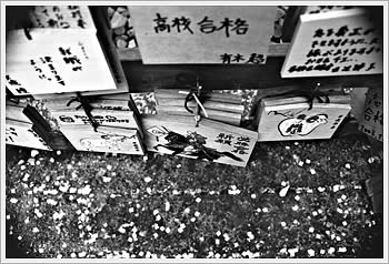 Fukagawa, Tokyo, July 26, 2003: click for larger image (63K)