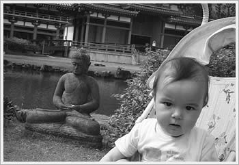 Kaika, Byodo-in Temple, Kaneohe: click for gallery