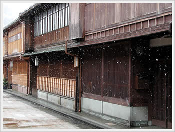 click for larger image (56K)