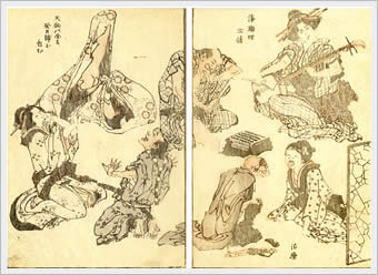 click for larger image (105K)