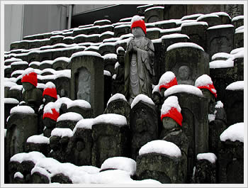 click for larger image (53K)