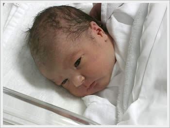 A newborn Kaika, 1 day old, March 18, 2003: click for larger image (25K)