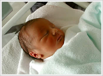 Kaika, March 19, 2003: click for larger image (41K)