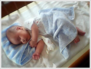 Kaika, sleeping, July 31, 2003: click for larger image (28K)
