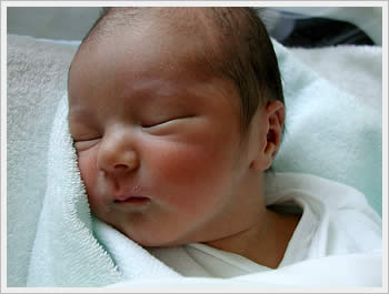 Kaika, March 20, 2003: click for larger image (34K)