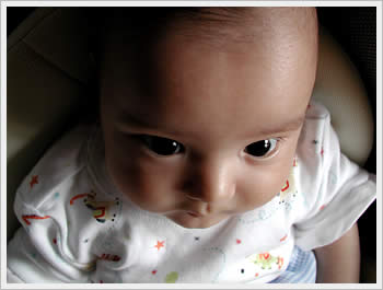 Kaika, March 16, 2003: click for larger image (32K)