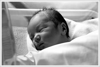 My son Kaika, 1 week old at the hospital, March 24, 2003: click for larger image (29K)
