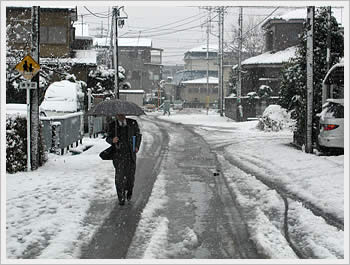 Click for larger image