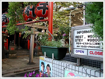 click for larger image