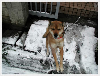 Click for larger image