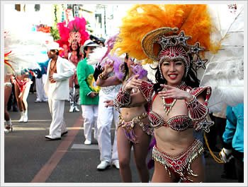Nakasendo festival, Warabi, November 3, 2002: click for larger image