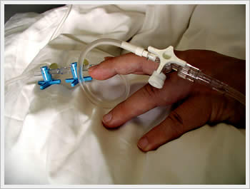 The day of Kaika's birth: click for larger image (25K)