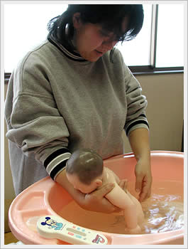 click for larger image (32K)