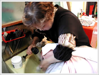 At the local hairdresser's, Warabi (Saitama), February 27, 2003: click for larger image (42K)