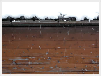 Click for larger image