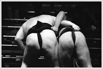 Click to be taken to my exhibit Grace and Girth at 28mm.org