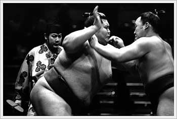 Sumo, Natsu Basho, Ryogoku, Tokyo, May 18, 2003: click for larger image (27K)