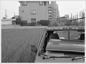 Junked truck in rice field, Toda (Saitama), August 22, 2003: click for larger image (37K)