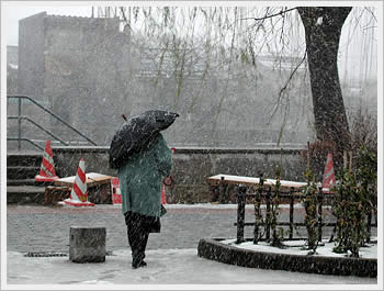 click for larger image (55K)