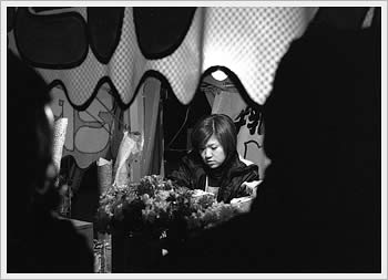 Warabi, New Year's Eve, 2002-3: click for larger image (31K)