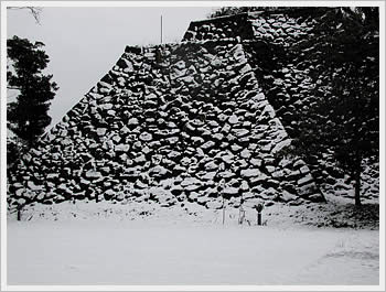 click for larger image (65K)