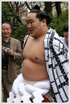 Yokozuna Asashoryu, in a relaxed mood, April 7, 2006: click for gallery