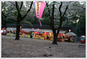 Omiya Park, April 9, 2006: click for larger