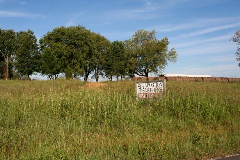 Signs: Hwy. 339, near Wingo, KY, by Kurt Easterwood (2006