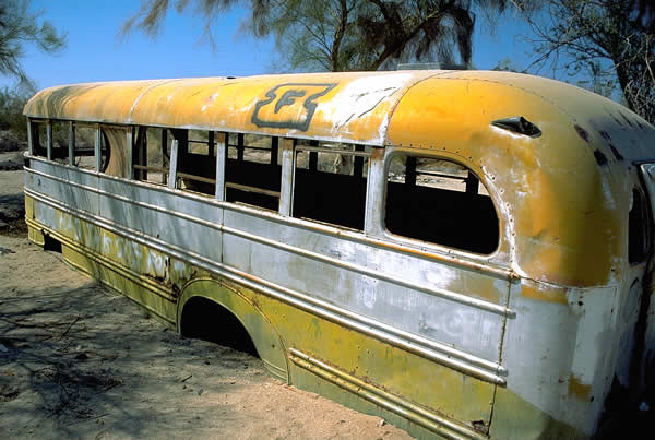 yellowbus.jpg
